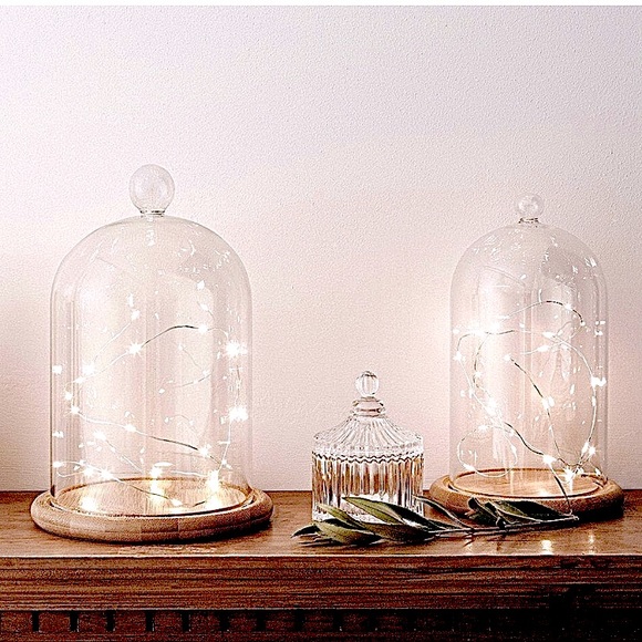 Cactus Fairy Lights ๐ต๐ก LED Curtain String Lights - Picture 2 of 12